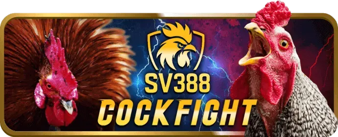 Hướng dẫn chơi slot game 78king bet